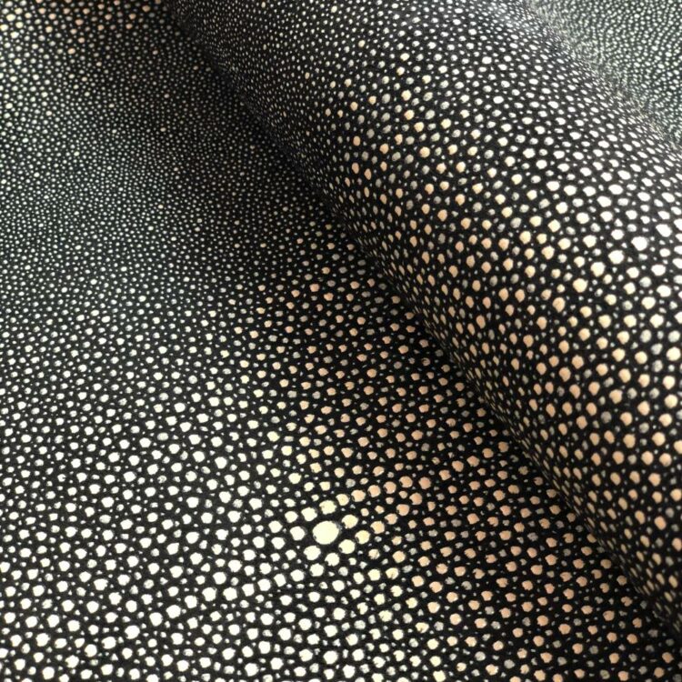 ALASKA STINGRAY