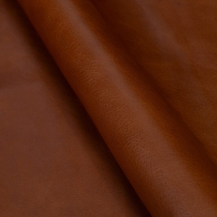 TEXAS - 12 colors